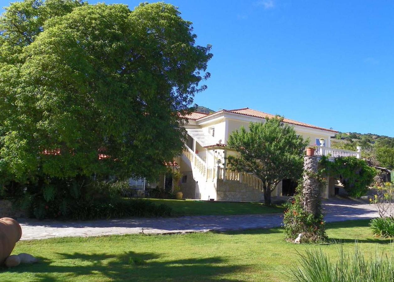 伊科德·德·洛斯·维诺斯Casa-Palo-Pique公寓 外观 照片